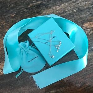 Tiffany Necklace EVERYTHING PICTURED INCLUDED